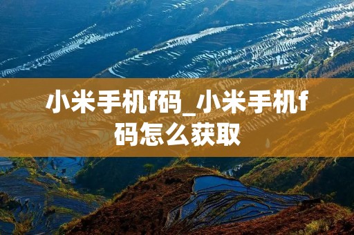 小米手机f码_小米手机f码怎么获取