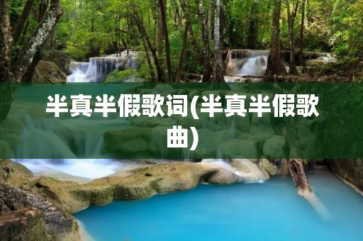 半真半假歌词(半真半假歌曲)