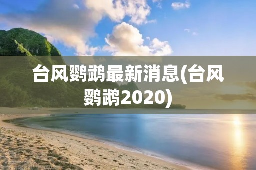 台风鹦鹉最新消息(台风鹦鹉2020)