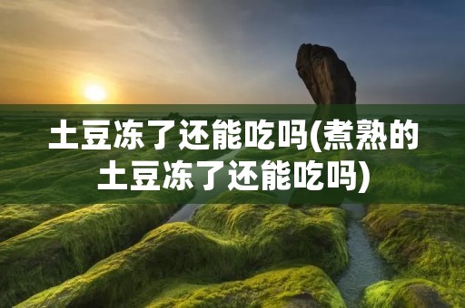 土豆冻了还能吃吗(煮熟的土豆冻了还能吃吗)