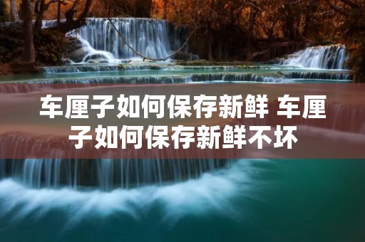 车厘子如何保存新鲜 车厘子如何保存新鲜不坏