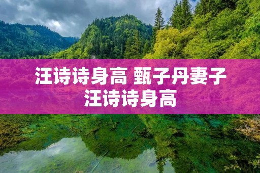 汪诗诗身高 甄子丹妻子汪诗诗身高