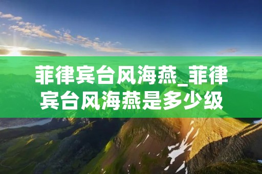 菲律宾台风海燕_菲律宾台风海燕是多少级