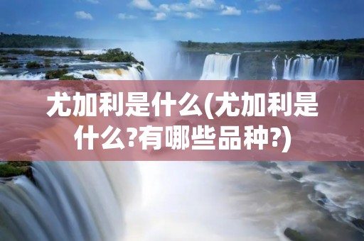尤加利是什么(尤加利是什么?有哪些品种?) 尤加利是什么(尤加利是什么?有哪些品种?)
