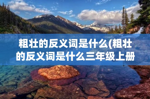 粗壮的反义词是什么(粗壮的反义词是什么三年级上册) 粗壮的反义词是什么(粗壮的反义词是什么三年级上册)