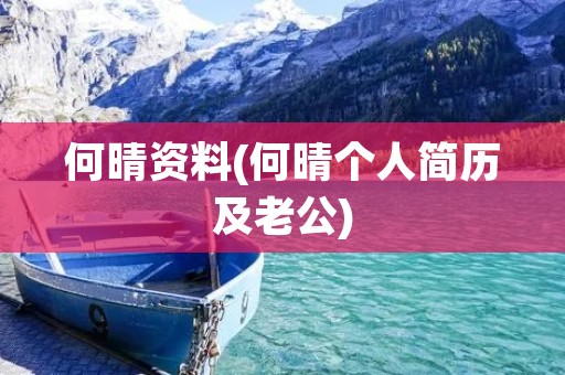 何晴资料(何晴个人简历及老公)