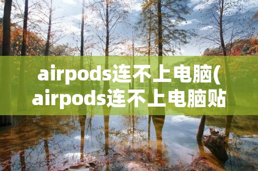 airpods连不上电脑(airpods连不上电脑贴吧)