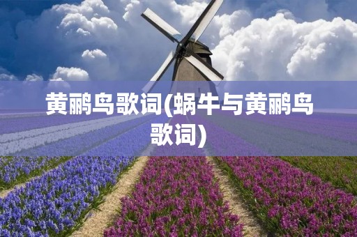 黄鹂鸟歌词(蜗牛与黄鹂鸟歌词)
