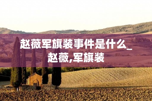 赵薇军旗装事件是什么_赵薇,军旗装