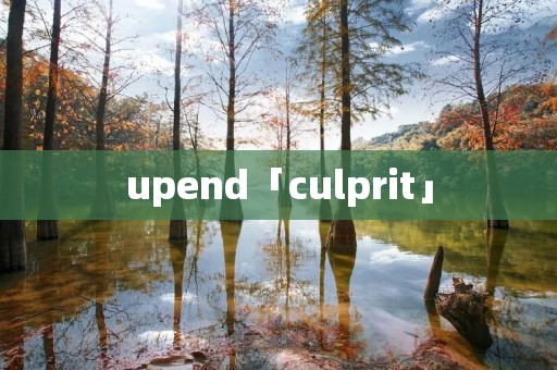 upend「culprit」