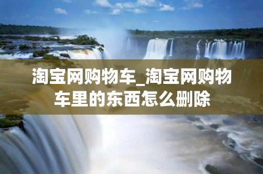 淘宝网购物车_淘宝网购物车里的东西怎么删除