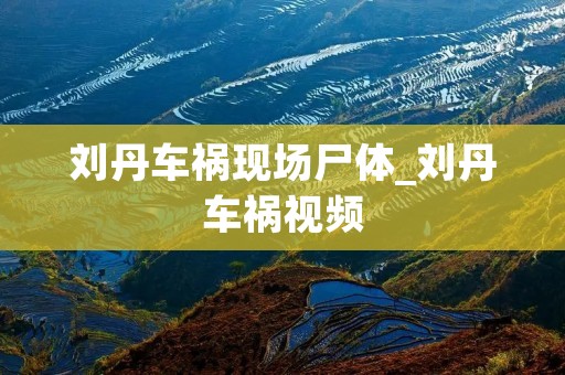 刘丹车祸现场尸体_刘丹车祸视频