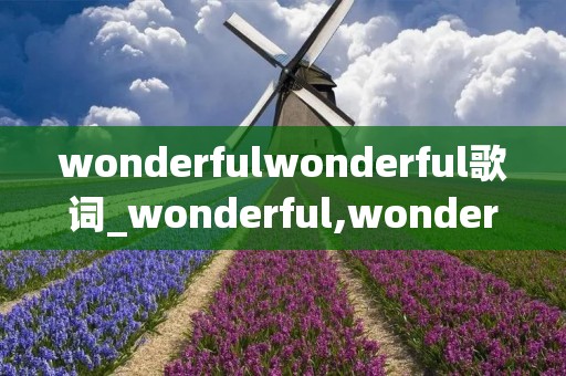 wonderfulwonderful歌词_wonderful,wonderful歌曲