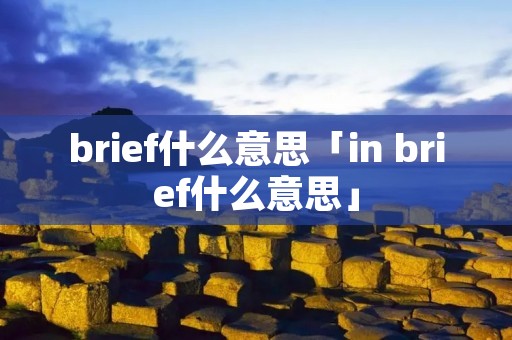 brief什么意思「in brief什么意思」