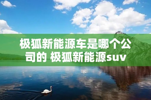 极狐新能源车是哪个公司的 极狐新能源suv