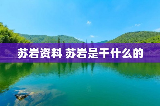苏岩资料 苏岩是干什么的