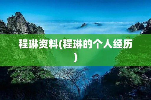 程琳资料(程琳的个人经历)