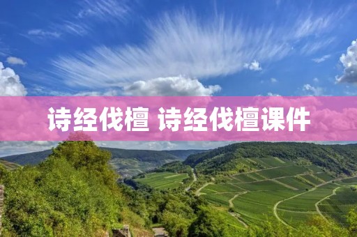 诗经伐檀 诗经伐檀课件 诗经伐檀 诗经伐檀课件