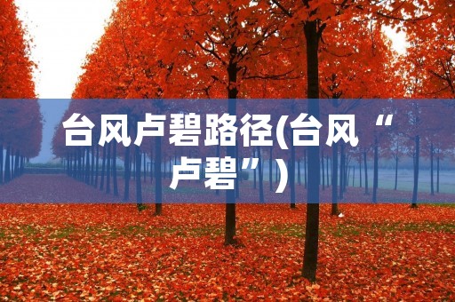 台风卢碧路径(台风“卢碧”) 台风卢碧路径(台风“卢碧”)