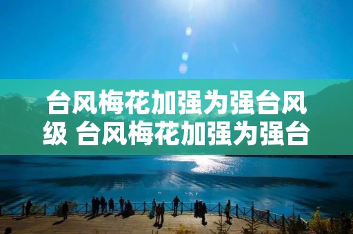台风梅花加强为强台风级 台风梅花加强为强台风级l 台风梅花加强为强台风级 台风梅花加强为强台风级l