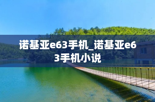 诺基亚e63手机_诺基亚e63手机小说