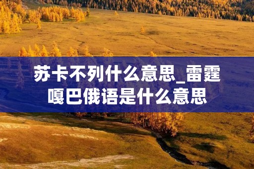 苏卡不列什么意思_雷霆嘎巴俄语是什么意思 苏卡不列什么意思_雷霆嘎巴俄语是什么意思