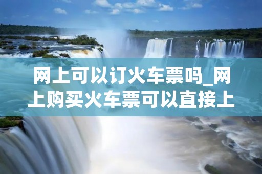网上可以订火车票吗_网上购买火车票可以直接上车吗