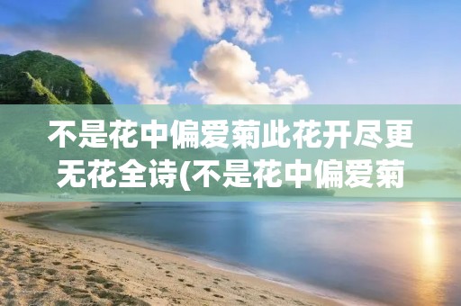 不是花中偏爱菊此花开尽更无花全诗(不是花中偏爱菊此花开尽更无花全诗朗诵)
