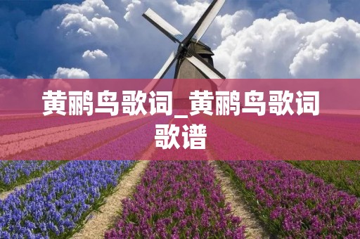 黄鹂鸟歌词_黄鹂鸟歌词歌谱