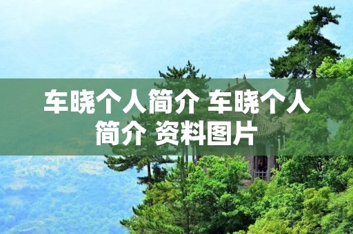 车晓个人简介 车晓个人简介 资料图片