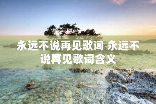 永远不说再见歌词 永远不说再见歌词含义