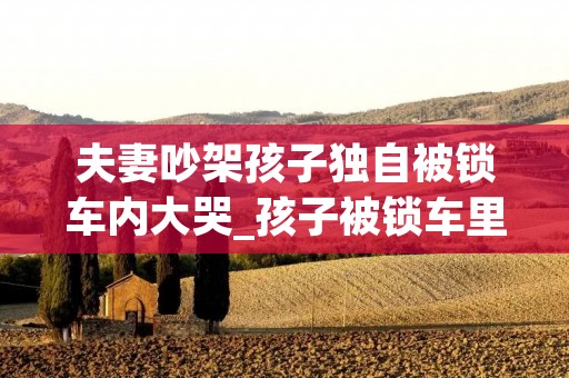 夫妻吵架孩子独自被锁车内大哭_孩子被锁车里不幸身亡