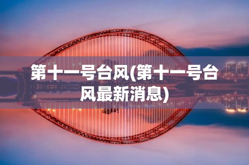 第十一号台风(第十一号台风最新消息) 第十一号台风(第十一号台风最新消息)