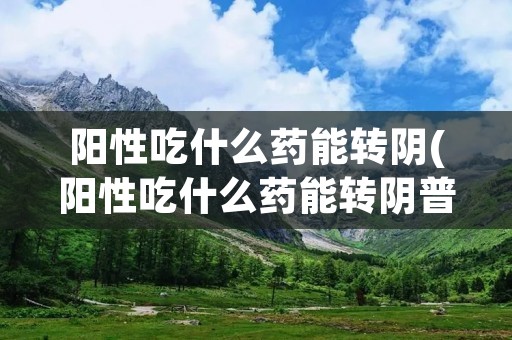 阳性吃什么药能转阴(阳性吃什么药能转阴普洱鑫腾药是什么药) 阳性吃什么药能转阴(阳性吃什么药能转阴普洱鑫腾药是什么药)