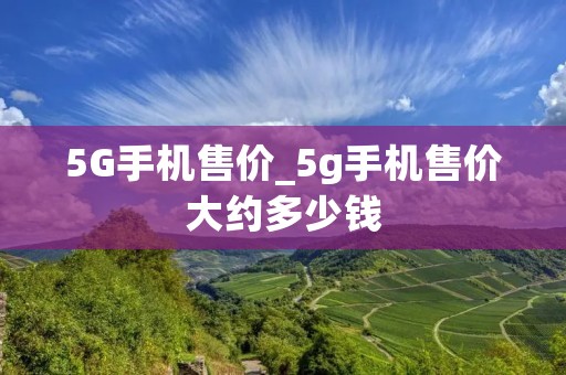 5G手机售价_5g手机售价大约多少钱