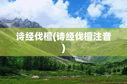 诗经伐檀(诗经伐檀注音)