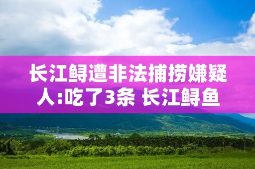 长江鲟遭非法捕捞嫌疑人:吃了3条 长江鲟鱼灭绝了吗?