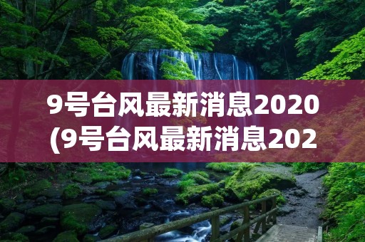 9号台风最新消息2020(9号台风最新消息2020路径图,太红途经哪里什么时候登陆) 9号台风最新消息2020(9号台风最新消息2020路径图,太红途经哪里什么时候登陆)