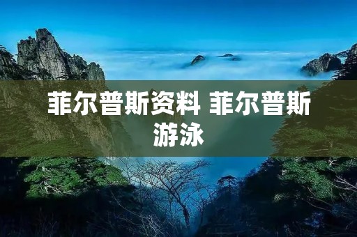 菲尔普斯资料 菲尔普斯游泳