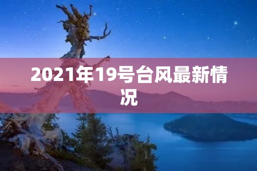 2021年19号台风最新情况