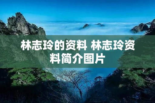 林志玲的资料 林志玲资料简介图片