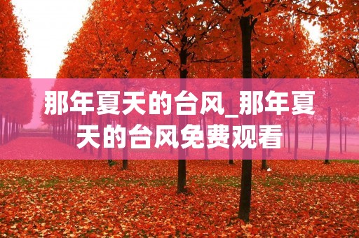 那年夏天的台风_那年夏天的台风免费观看