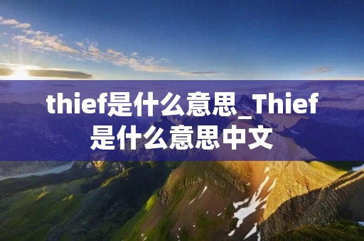 thief是什么意思_Thief是什么意思中文