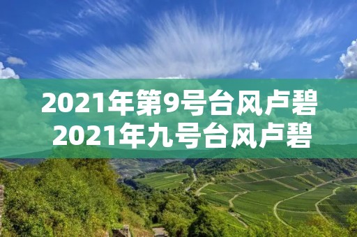 2021年第9号台风卢碧 2021年九号台风卢碧 2021年第9号台风卢碧 2021年九号台风卢碧