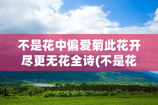 不是花中偏爱菊此花开尽更无花全诗(不是花中偏爱菊此花开尽更无花寓意是什么)