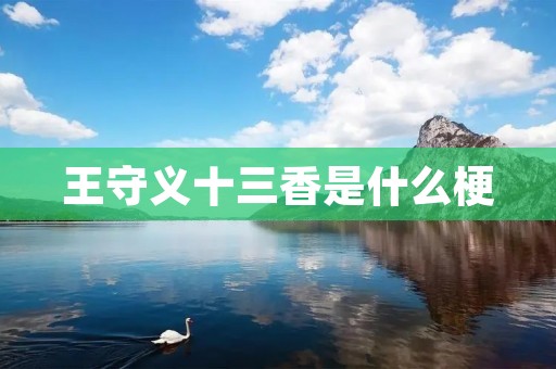 王守义十三香是什么梗