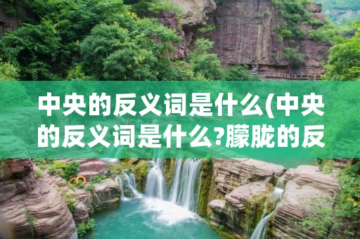 中央的反义词是什么(中央的反义词是什么?朦胧的反义词是什么?) 中央的反义词是什么(中央的反义词是什么?朦胧的反义词是什么?)