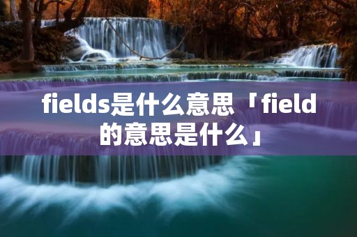 fields是什么意思「field的意思是什么」