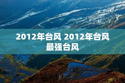 2012年台风 2012年台风最强台风 2012年台风 2012年台风最强台风