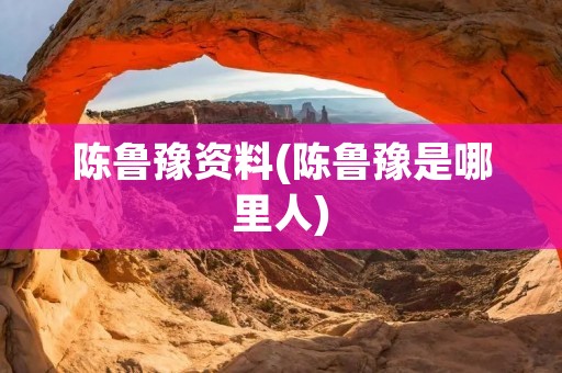 陈鲁豫资料(陈鲁豫是哪里人)